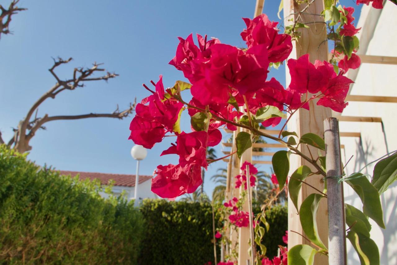 Appartamento Casita blanca near yumbo Playa del Inglés Esterno foto